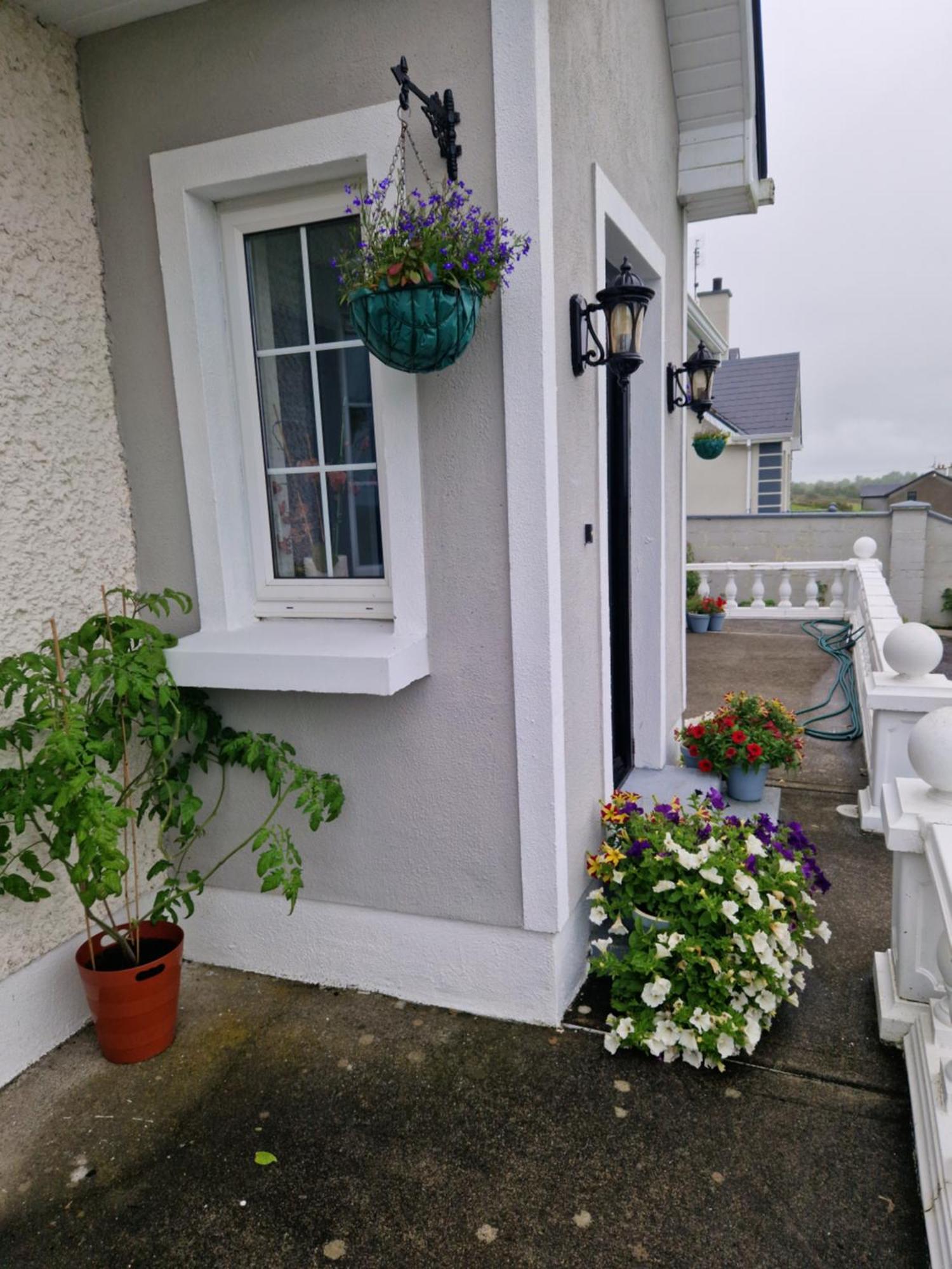 Forest View Dunmore Galway H54P897 Bed & Breakfast Ngoại thất bức ảnh